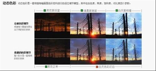动态色彩