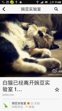 图：Flipboard 显示微博信息，图片展示一目了然