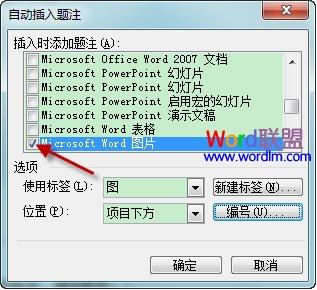 图 2 4 自动插入题注对话框