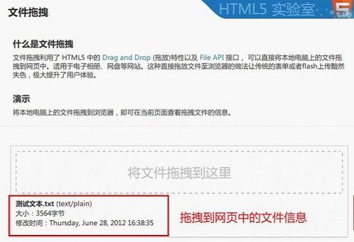 图2：将文件拖拽到网页中后显示的文件信息