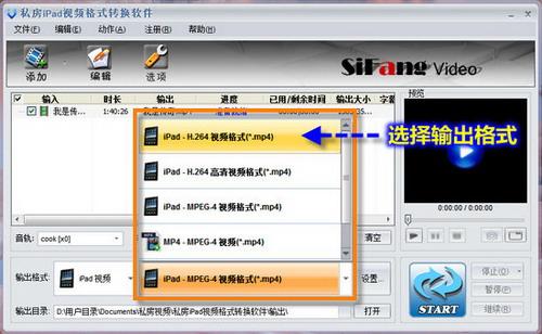 选择输出格式