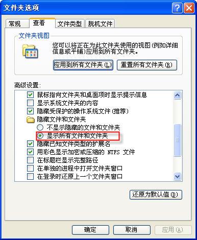 文件夹选项