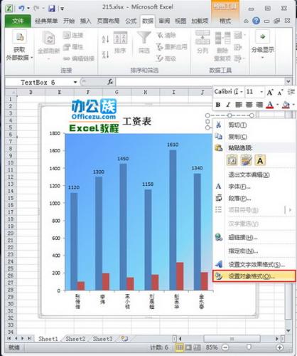 设置对象格式