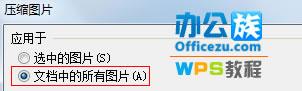勾选应用于文档中的所有图片