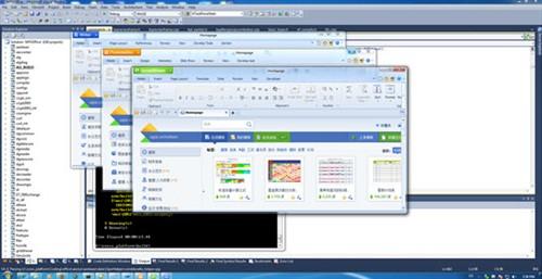 图2：WPS for Windows