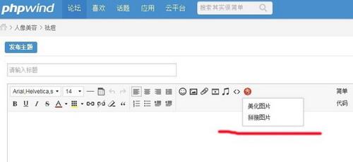 图5 PHPWind发帖界面截图