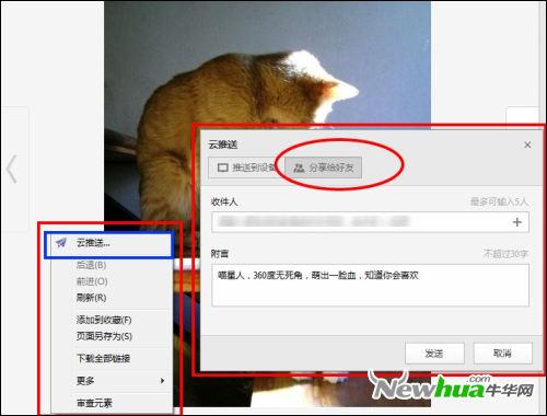 傲游云分享 喵星人图片分享无可抵挡