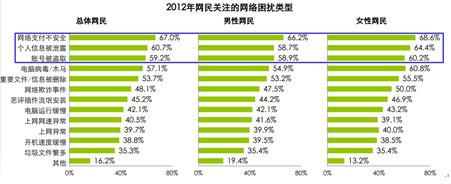 图1:网民最担心网上支付不安全