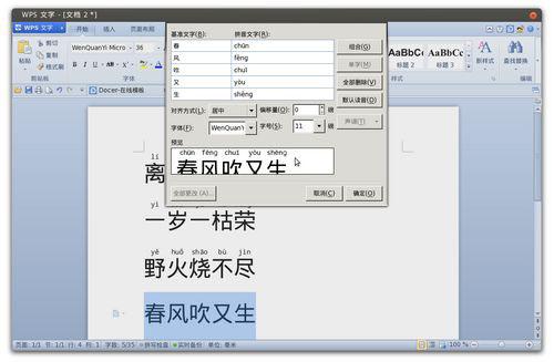 拼音指南功能