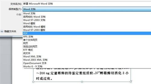 保存为PDF格式