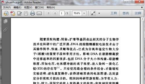 转化为PDF的文档