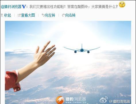 图：猎豹浏览器