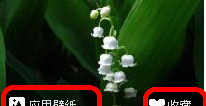 壁纸自动换，内容更丰富