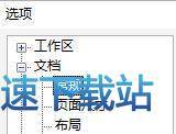 选项
