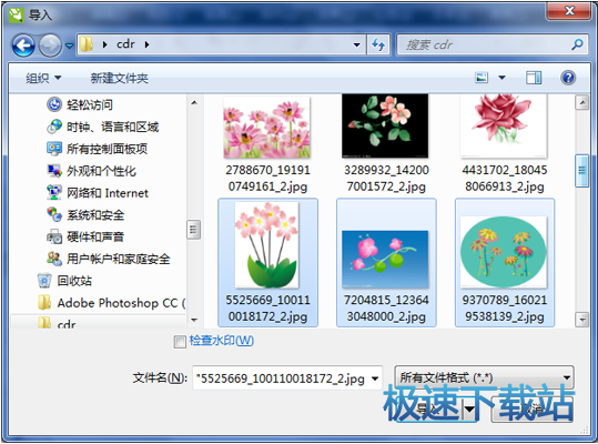 CDR X4导入