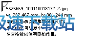 CDR X4导入图片时鼠标状态