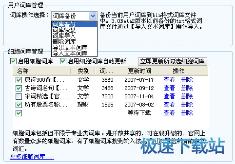 图：词库选项卡