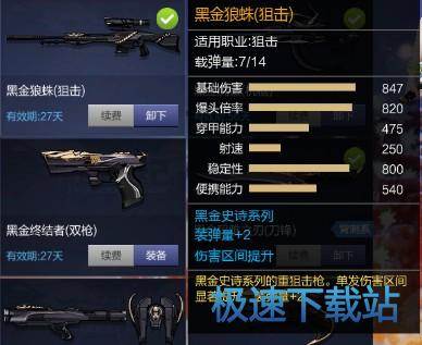 图：黑金狼蛛