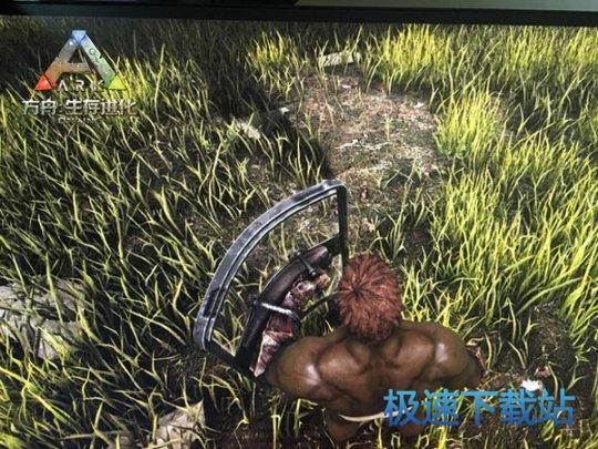 图：伤齿龙