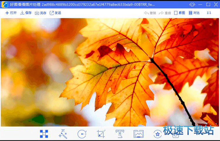 图：特色梳理