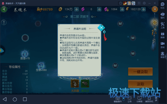 养魂木说明