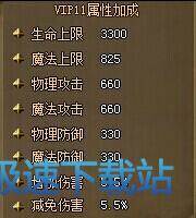 图：VIP介绍