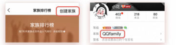 图：vip