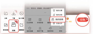 图：vip