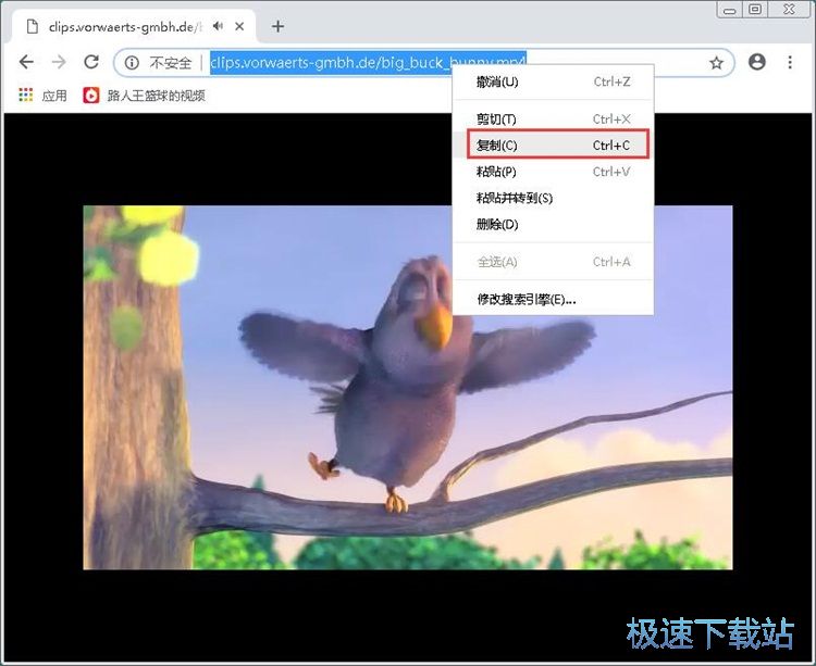 图：转换在线视频格式教程