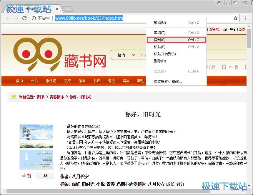 图：下载在线小说教程