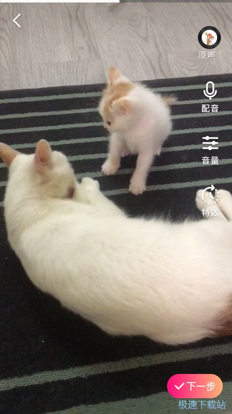 图：发布小视频
