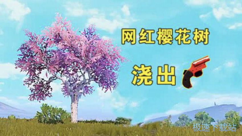 图：樱花树攻略